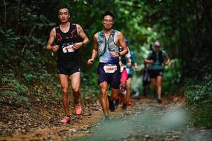 BIB: 5488
                            <button type="button" onclick="openModal(22443294)" class="btn btn-primary btn-sm float-right btn-popup" data-toggle="modal" data-target=".modal-high-quality">
                        <i class="fas fa-shopping-cart"></i> Add to Cart
                    </button>
                                            <button type="button" onclick="isThisMe(22443294, true)" class="btn btn-success btn-sm float-right btn-popup btn-isme hidden" data-toggle="tooltip" data-placement="bottom" title="นี่คือรูปของคุณใช่ไหม คลิกที่นี่เพื่อเอาเข้าอัลบั้ม">
                        <i class="fas fa-plus"></i> Add to album
                    </button>
                    <button type="button" onclick="isThisMe(22443294, false)" class="btn btn-warning btn-sm float-right btn-popup btn-isnotme hidden">
                        <i class="fas fa-ban"></i> Remove from album
                    </button>